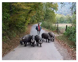 Advocates for Communities Announces the Launch and Development of Shoals Creek Farm Village in North Carolina, a Fully Sustainable and Eco-Friendly Artisian Community