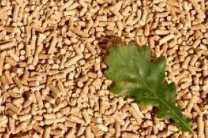 Sandri Energy Helps Fuel Growth in Wood Pellet Central Heating in Massachusetts Counties