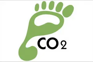 carbon-footprint-green