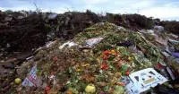 images_landfill_875959221