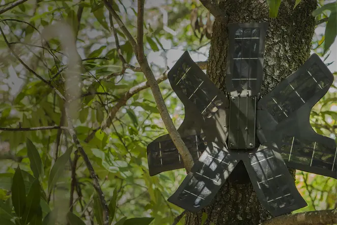 Solar-powered recycled smartphones could be the answer to fight illegal logging in rainforests