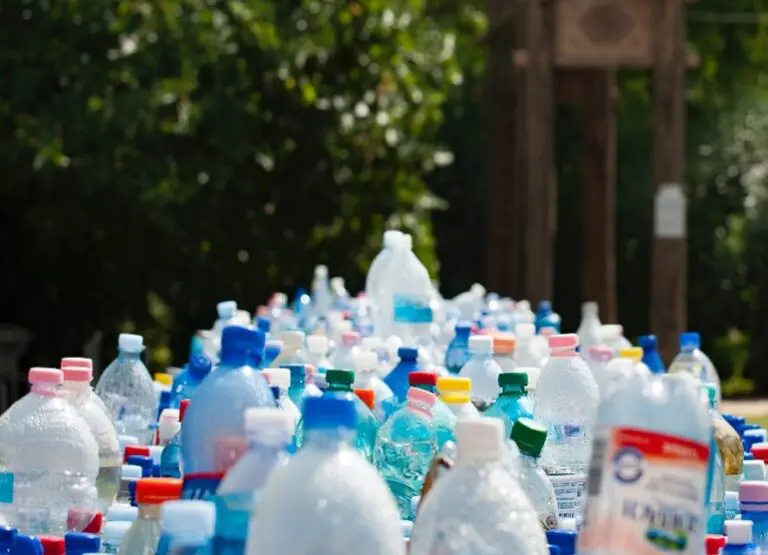 5 FACT-BASED REASONS TO RECYCLE PLASTIC