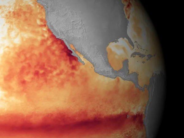 NOAA visualisation of El Niño conditions in the Pacific Ocean